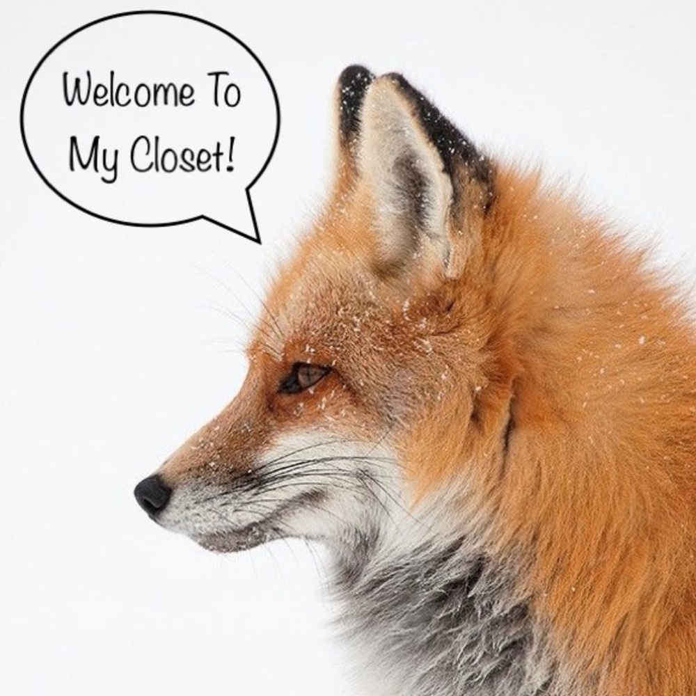 🦊 Welcome To My Closet! Meet the Posher! 🦊